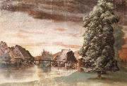 Albrecht Durer The Willow mills on the pegnitz oil painting artist